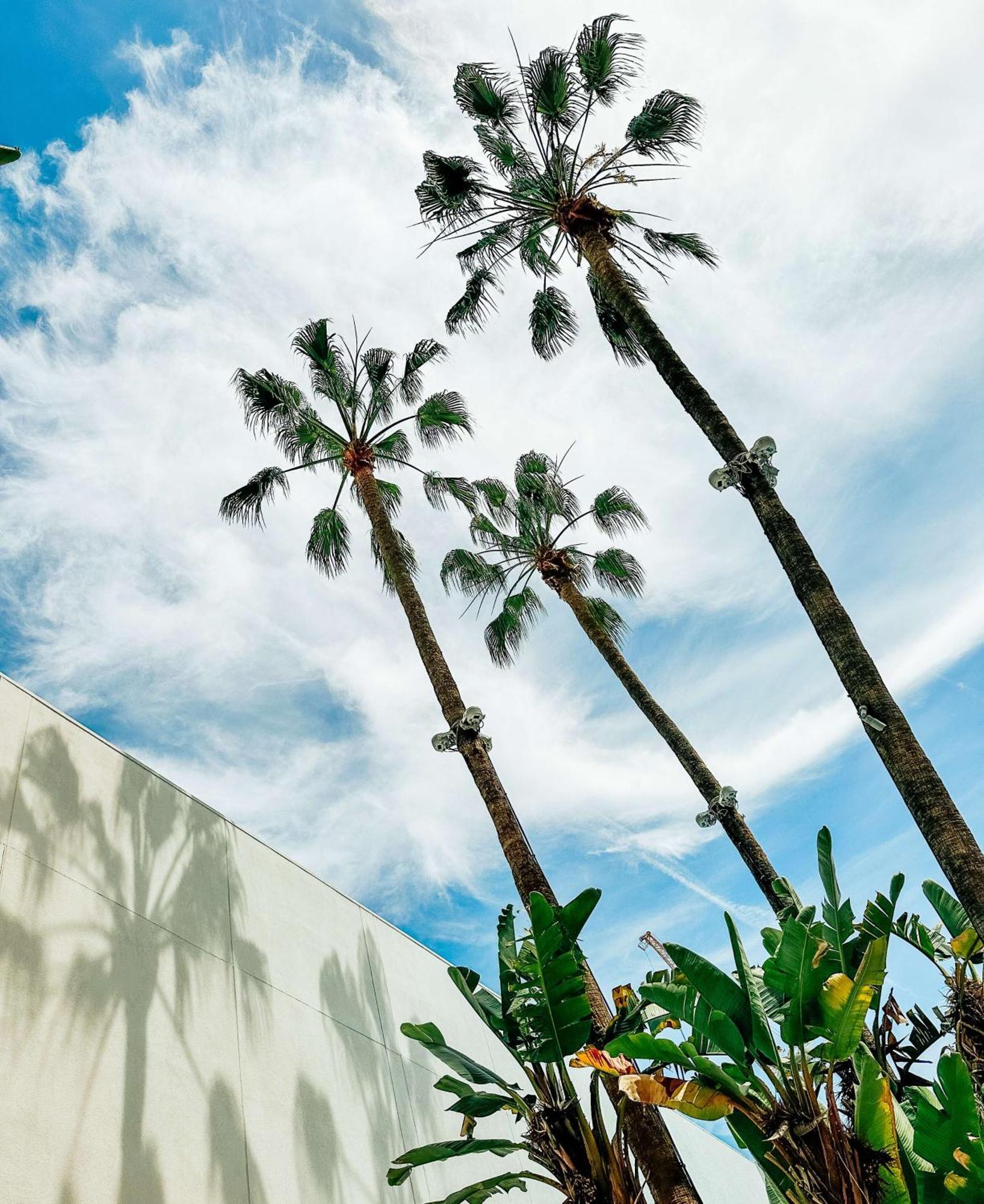 The Beverly Hilton Los Angeles Eksteriør billede